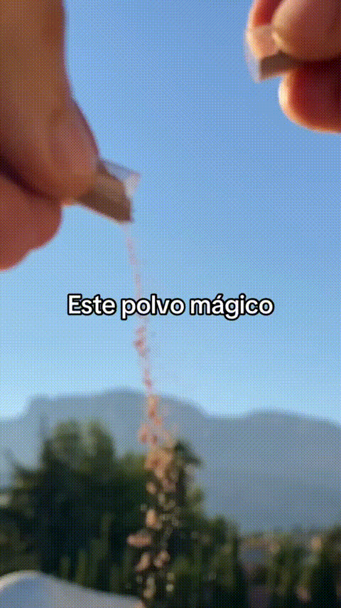 Titan King | Despierta tu poder interno